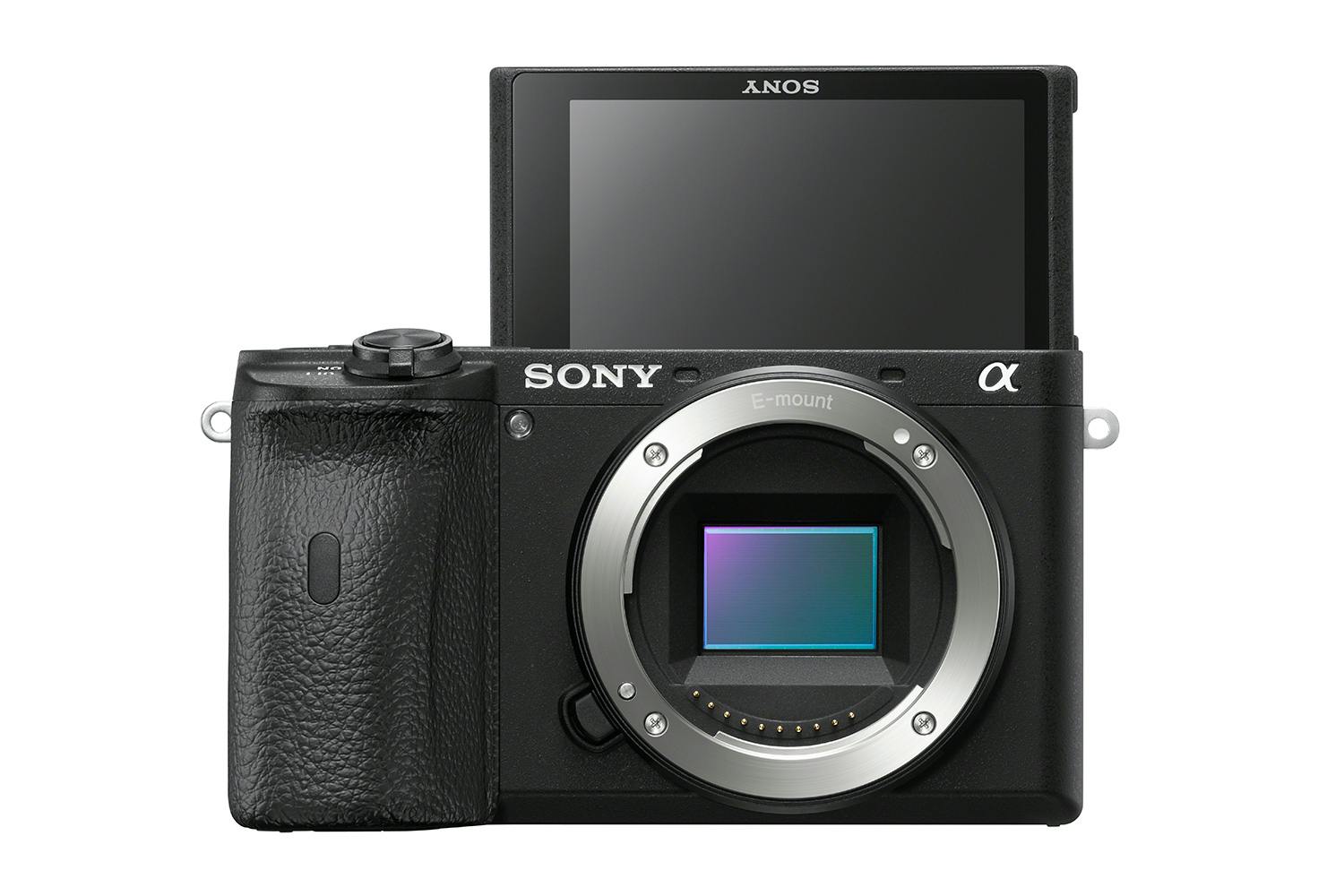 sony a6600 Sony A6600